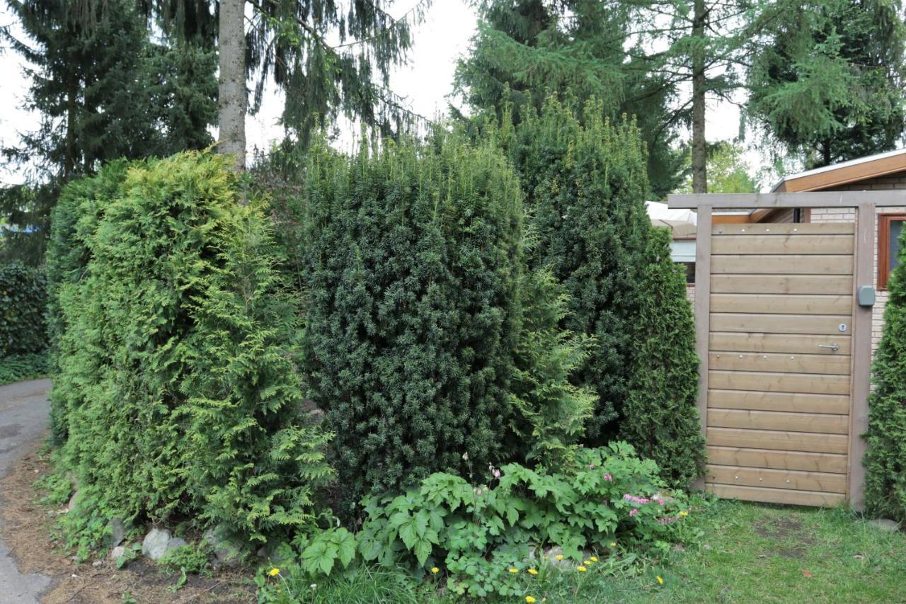 Veluwehuisje Speulderbos Βίλα Putten Εξωτερικό φωτογραφία